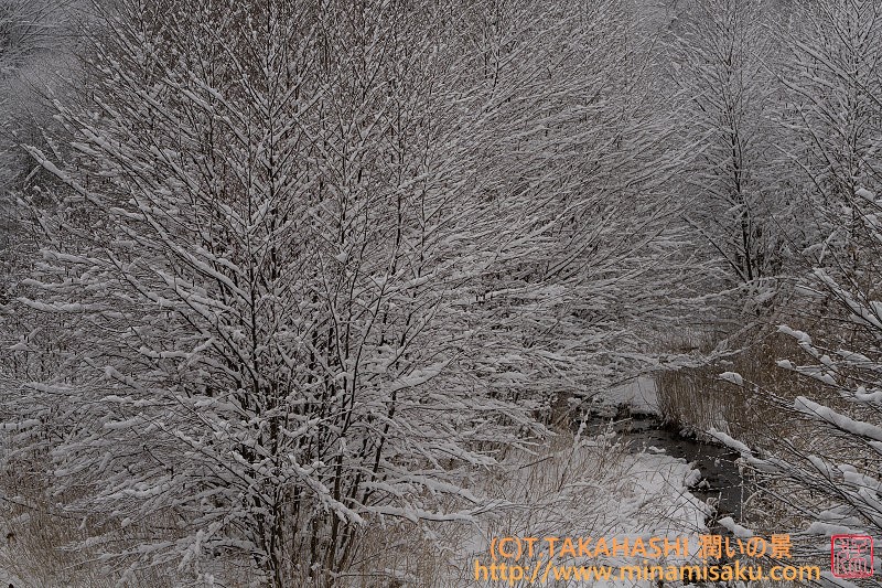 ../Images/7R250316 (3).jpg